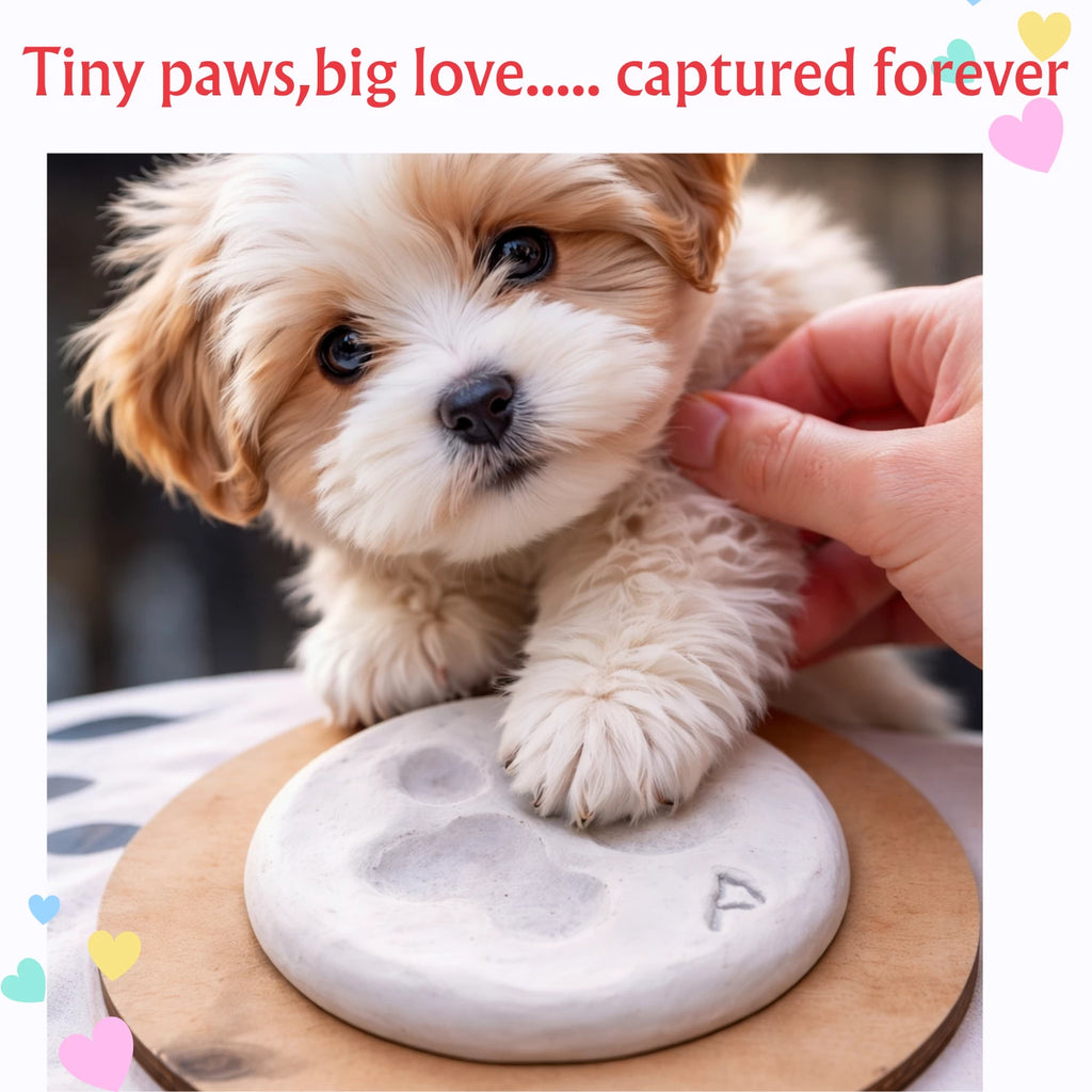 PAW PRINT DIY KIT
