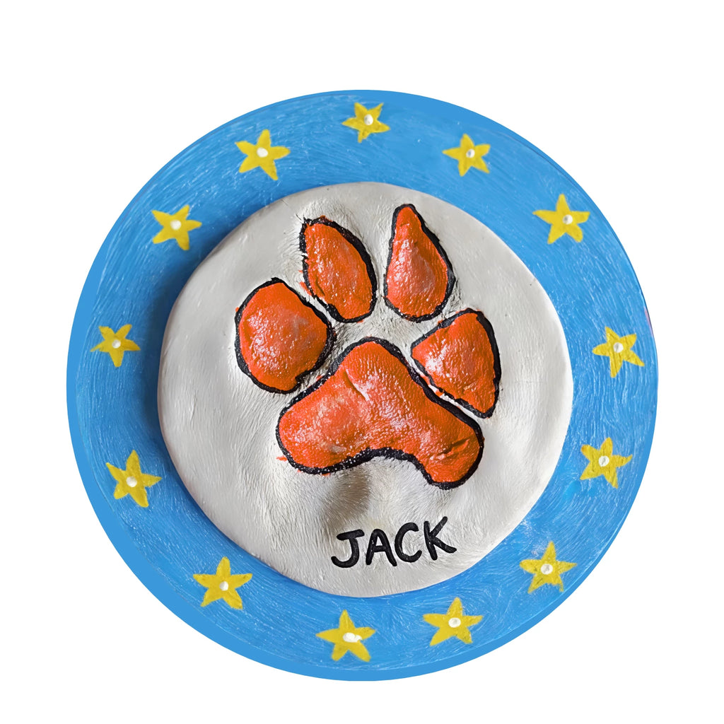 PAW PRINT DIY KIT